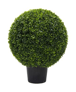 24" Boxwood Ball in Pot UV