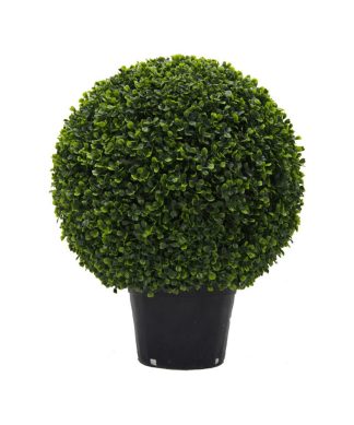20" Boxwood Ball in Pot UV