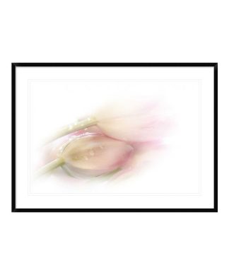 "Touching" Framed Digital Print by Stefan Eisele, 44x32"