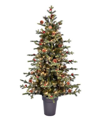 5' x 41" Potted Timberline DuraLit 250CL