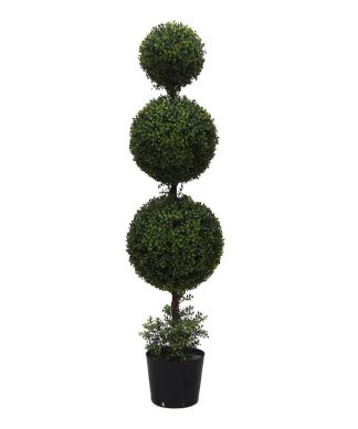 5' Boxwood Triple Ball With Pot, UV