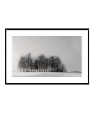 "Winter Forest" Framed Digital Print by Gilbert Claes, 44x29"