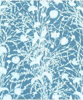 Wildflower, Blueprint