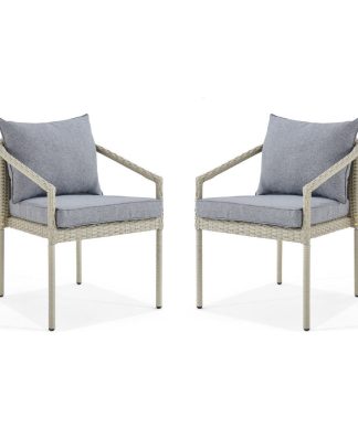 Windham All-Weather Wicker Outdoor Light Gray Chairs, Cushions, Set of 2