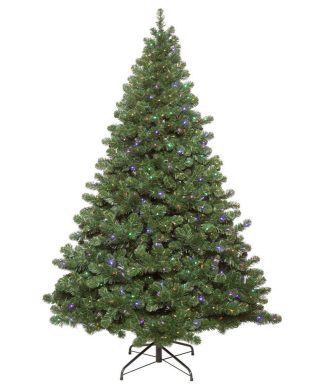 4.5' X 39" Oregon Fir Wa 300Led Multi