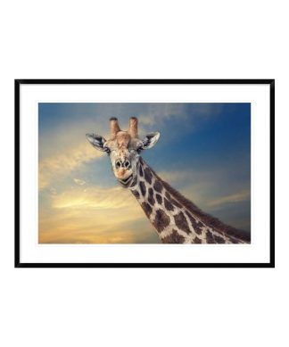 "The Friendly Giant" Framed Digital Print by Piet Flour, 44x32"