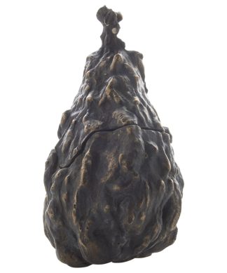 Warted Pear, Bronze