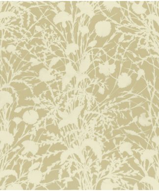 Wildflower, Oat