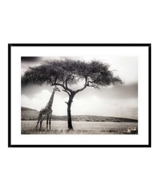 "Under The African Sun" Framed Digital Print by Piet Flour, 44x32"
