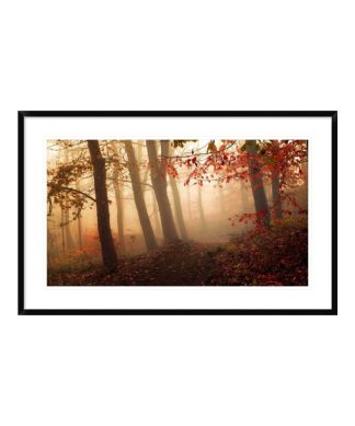 "Towards The Light." Framed Digital Print by Leif Londal, 44x28"