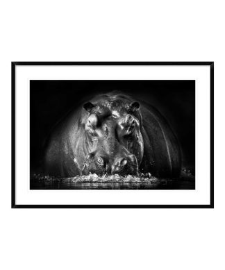 "Power" Framed Digital Print by Gorazd Golob, 44x32"