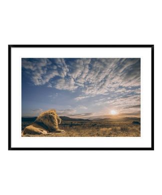"The King And His Kingdom" Framed Digital Print by Jackson Carvalho, 44x31"