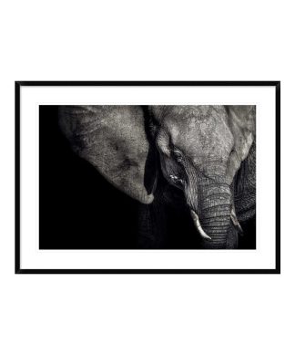 "The Matriarch" Framed Digital Print by Piet Flour, 44x32"