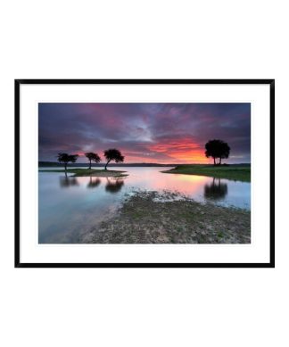 "The Blessing Of The Sun" Framed Digital Print by Rui David, 44x32"