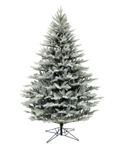 6.5' x 51" Douglas Blue Fir Tree 1684Tip