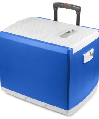 12V Thermo-Electric 46Q Cooler