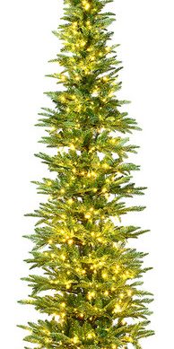 6.5' x 24" Compton Pole Pine 3mm 750WW