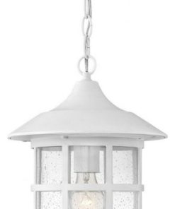 1 Light Large Outdoor Hanging Lantern in Coastal Style - 10 Inches Wide by 14