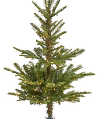 7? South Carolina Spruce Christmas Tree / 500 White Warm Lights
