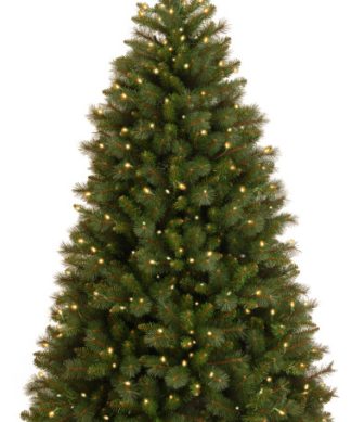 6 1/2' Rocky Ridge Medium Pine Hinged Tree With 650 Clear Lights