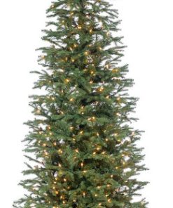 7.5' High Pre-Lit Natural Cut Narrow Jackson Pine with Clear White Lights