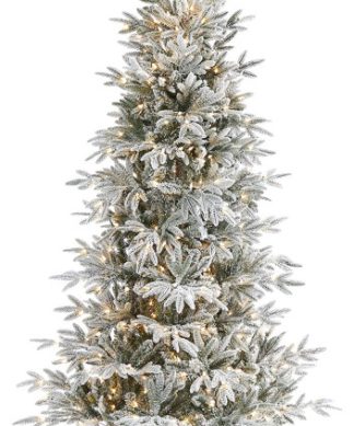 7.5? Golden Tip Washington Pine Christmas Tree / 600 Clear Lights, Pine Cones