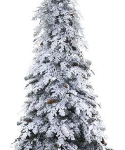 6' Flocked Montana Down Swept Spruce Christmas Tree with 250 Clear LED Lights