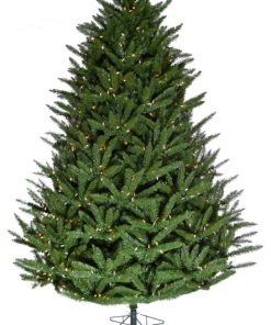 7.5' Centerville Pine Christmas Tree With Warm White Lights and EZ Connect