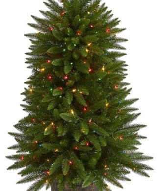 5' Napa Valley Pine Christmas Tree / 200 Warm White LED Lights
