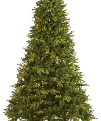 7? Frosted Tip British Columbia Mountain Pine Christmas Tree / 400 Clear Lights