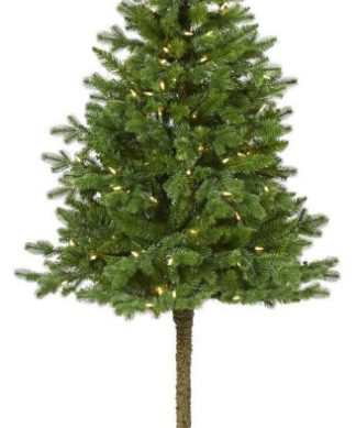 7? Alaskan Alpine Christmas Tree / 150 Clear Microdot (Multifunction) LED Lights