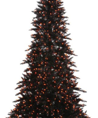5.5'X42" Black Fir Dural 400Org 794T