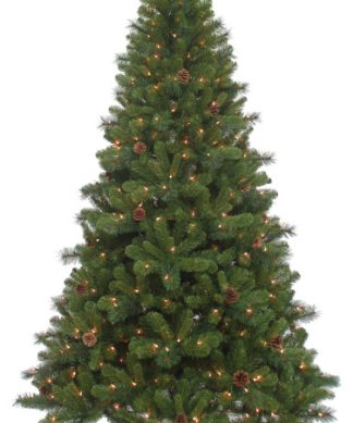 7.5' Pre-Lit Clear Burlington Spruce